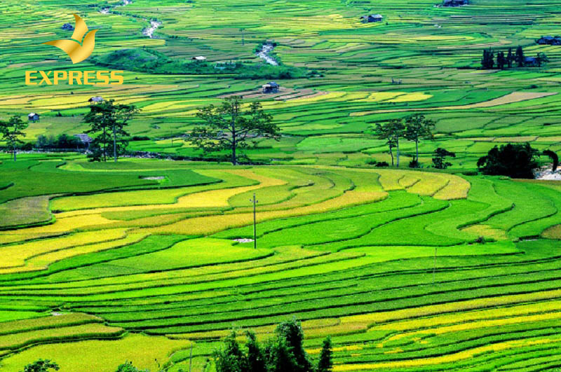 Áp dụng luật chuyển đổi ruộng đất năm bao nhiêu - Luật đất đai 2013 có phải câu trả lời?