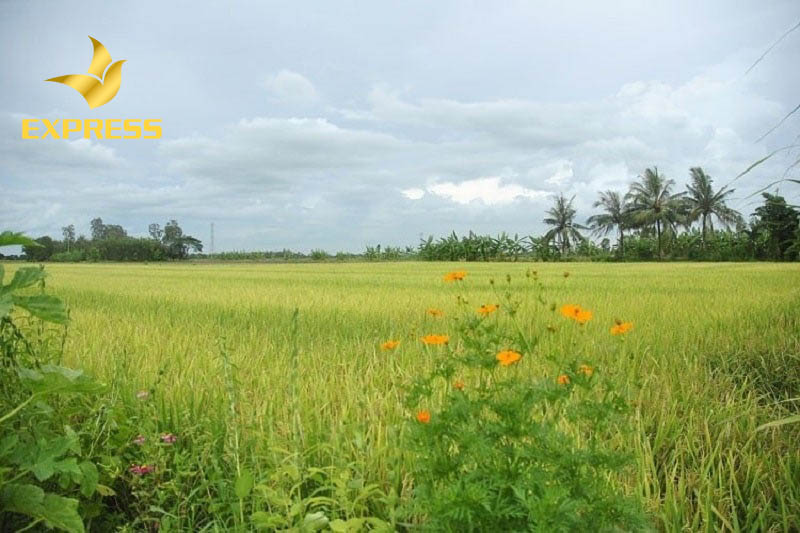 Bán đất ruộng quận 2 hiện nay đang thu hút đông đảo nhiều người tham gia