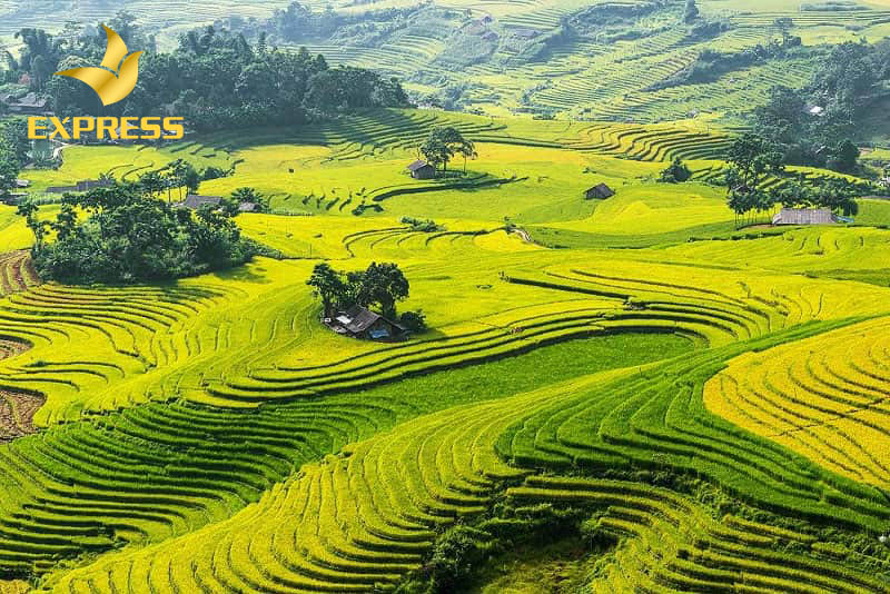 Các mẫu đất ruộng phường 5 Sóc Trăng được quan tâm nhiều từ nhà đầu tư