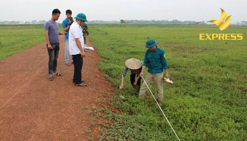 Những lưu ý khi chuyển đổi đất ruộng màu