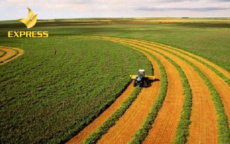 Cách thức đo đạc đất ruộng