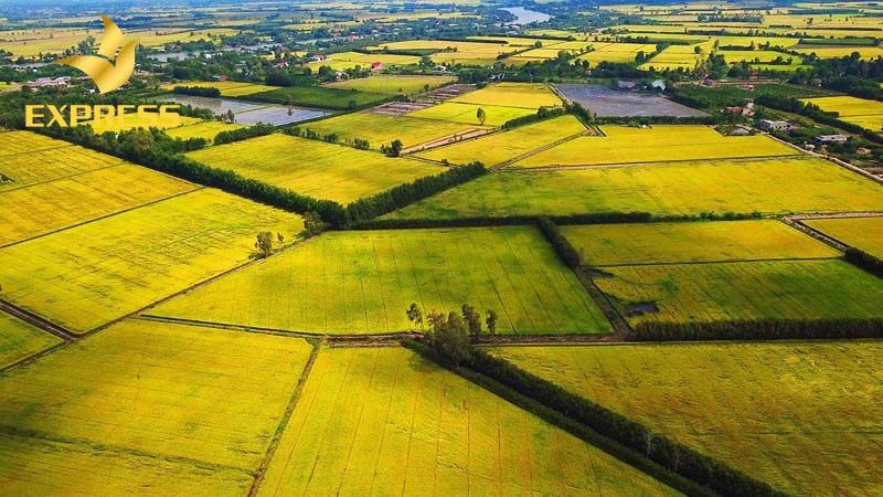 Cần xác định đất ruộng này có nằm trong quy hoạch hay không?