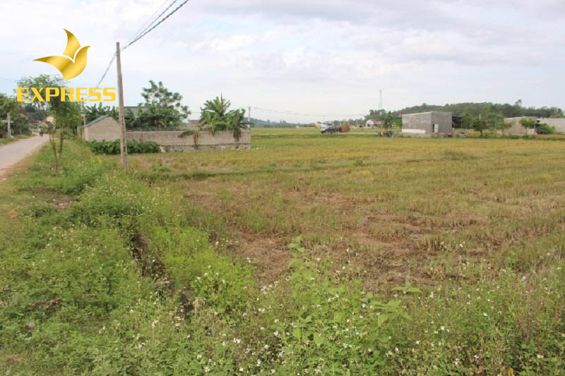 Có nên đầu tư đất ruộng 2000m2 Hậu Giang hay không?