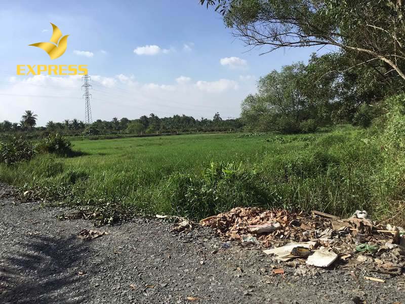 Có nên mua đất ruộng ở quận 9 không?