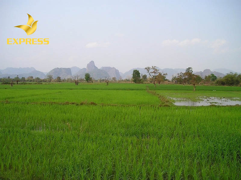 Cơn sốt đất bùng nổ