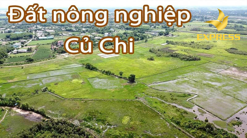 Đất nông nghiệp, đất ruộng huyện Củ Chi