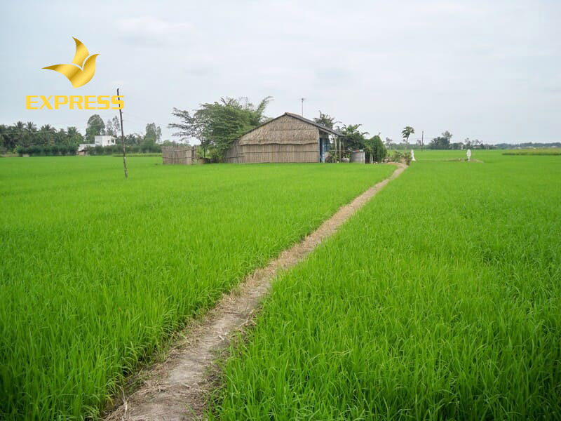 Đất nông nghiệp là gì?