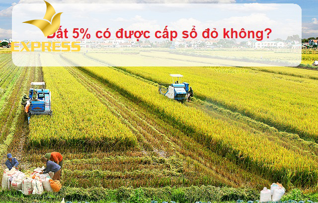 Đất ruộng 5% có được cấp sổ đỏ không ?