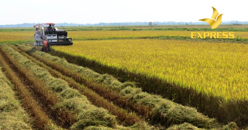 Đất ruộng 64 và vấn đề sổ đỏ