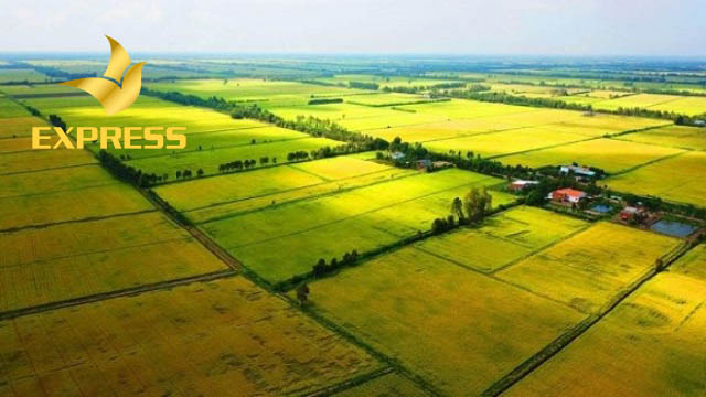 Đất ruộng bị thổi giá