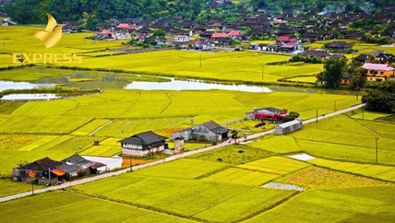 Đất ruộng dùng để canh tác các loại cây trồng hằng năm