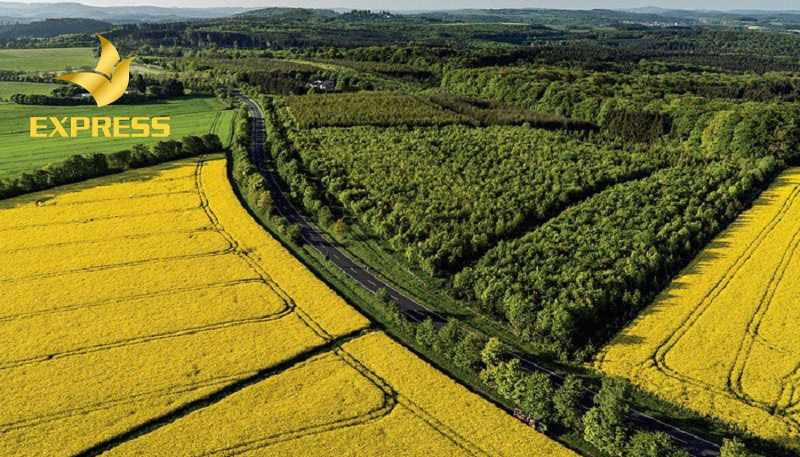 Đất ruộng ở Thới Lai Cần Thơ sở hữu tiềm năng đầu tư đầy hứa hẹn