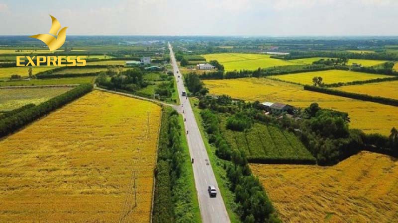 Đất ruộng Trà Vinh được rất nhiều nhà đầu tư quan tâm tìm hiểu.