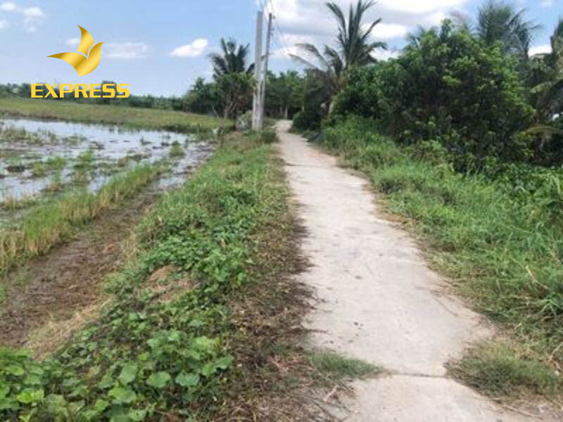 Đất ruộng xã Tân Tập giá rẻ món hời sinh lãi cao