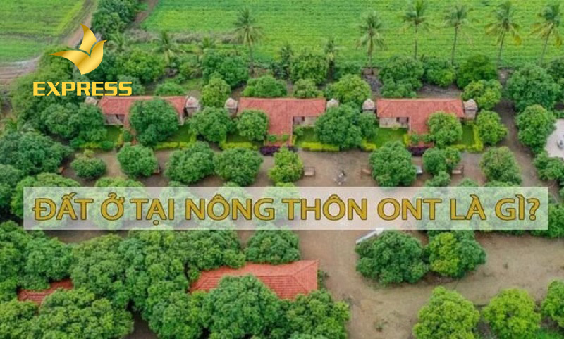 Đất ở cư nông thôn (hay còn gọi tắt là ONT)