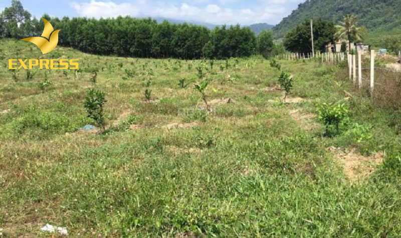 Giá đất nông nghiệp tăng mạnh