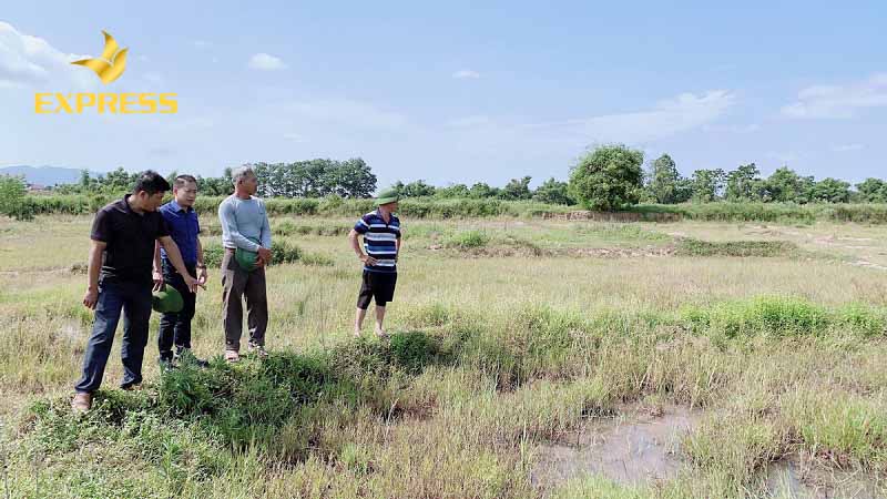 Hoạt động mua bán đất ruộng Kiên Giang đang rất sôi nổi