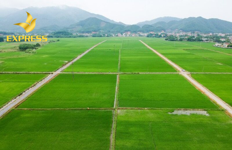 Huyện Tam Bình có đường giao thông thuận lợi, dễ đi lại giữa các tỉnh