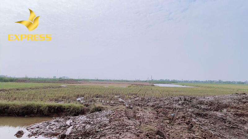 Huyện Vĩnh Hưng được hình thành gắn liền với quá trình khai thác các vùng đất hoang