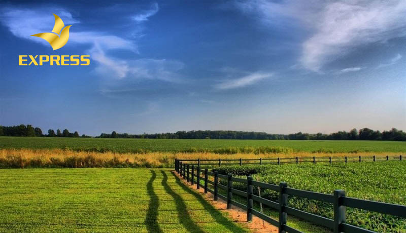 Kinh nghiệm khi mua đất nông nghiệp 2021