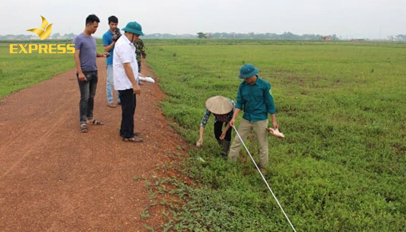 Kinh nghiệm khi mua đất ruộng Kiên Giang