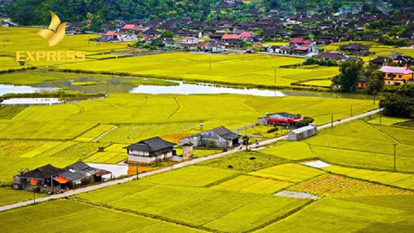 Một số dạng đất nông nghiệp chuyên được sử dụng