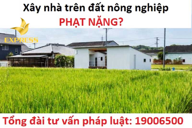 Mức phạt đối với người xây nhà ở trên đất ruộng