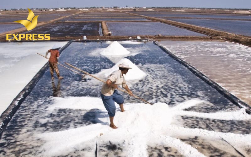 Người dân thu hoạch muối sau vài ngày phơi