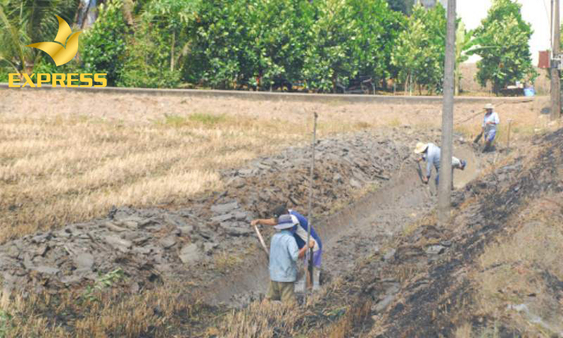Nhiều người băn khoăn khi đầu tư vào đất ruộng tại Nhà Bè