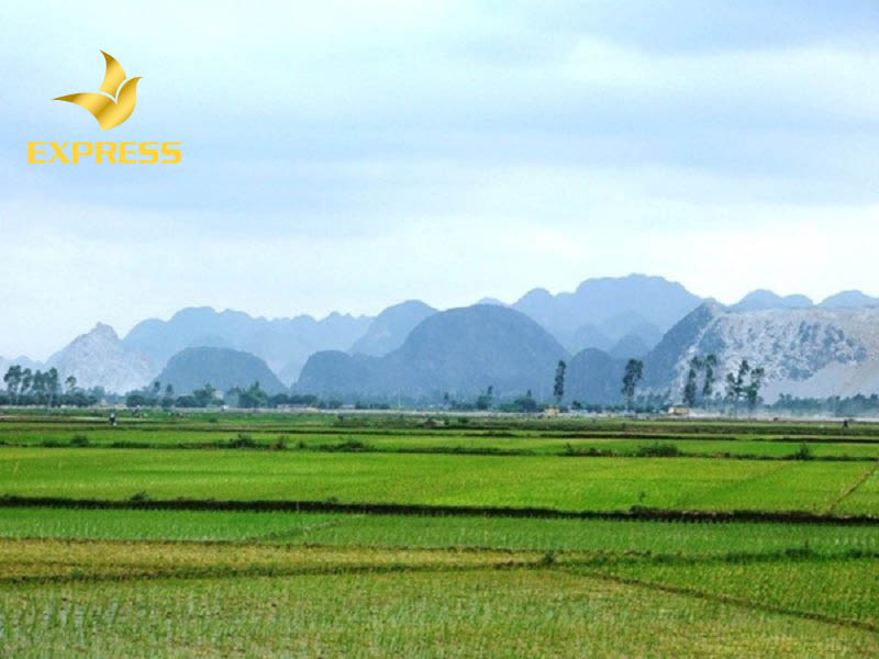 Những rủi ro khi đầu tư đất ruộng