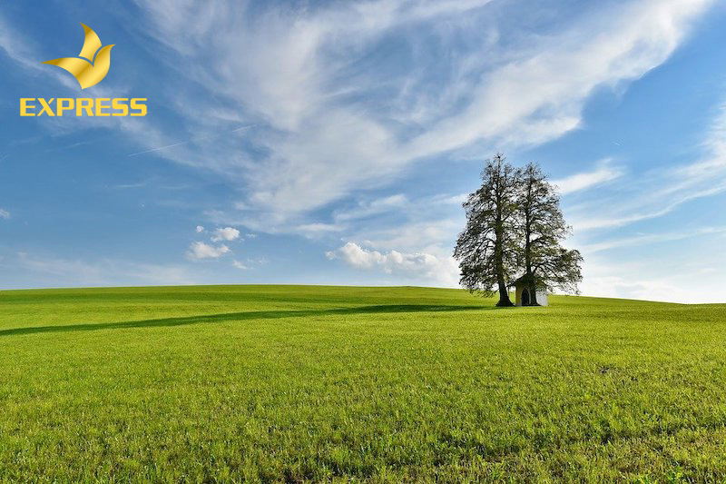 Phải đáp ứng đủ yêu cầu mới có thể chuyển đổi đất