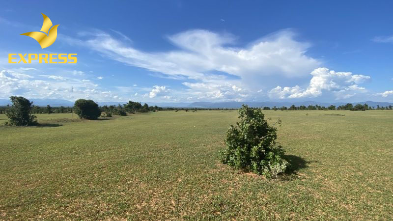 Phân loại đất nông nghiệp