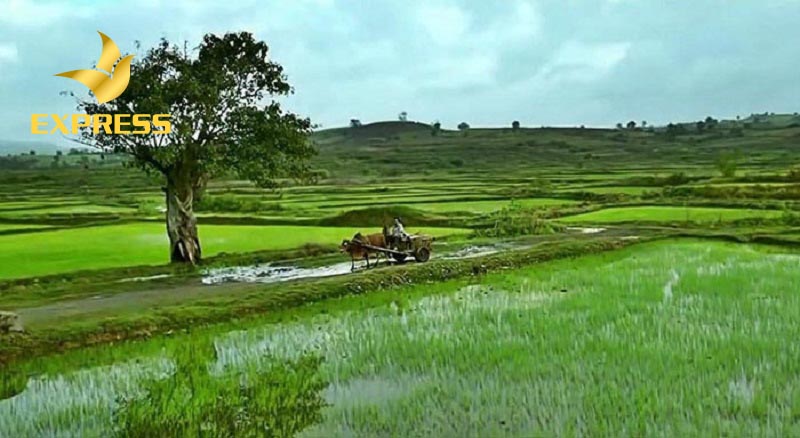 Phú Yên một trong những địa điểm du lịch phát triển