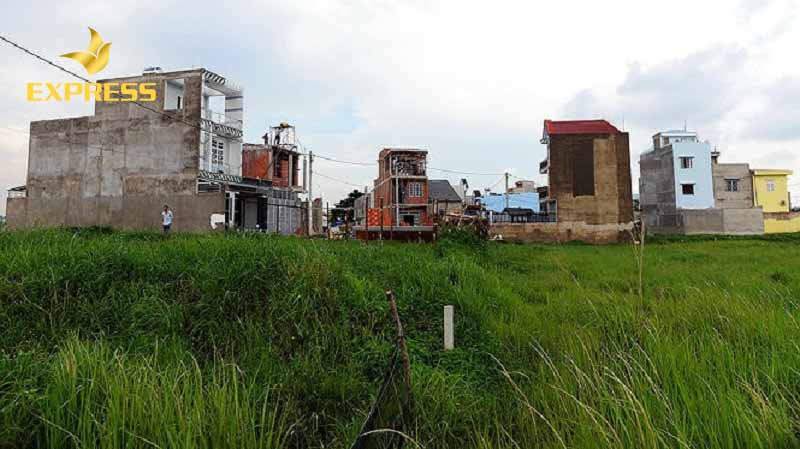 Rủi ro khi mua đất ruộng Kiên Giang