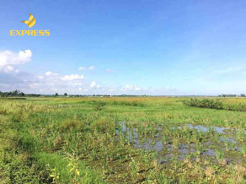 Rủi ro về thanh khoản