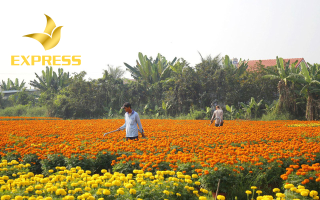 Sử dụng vào mục đích công ích