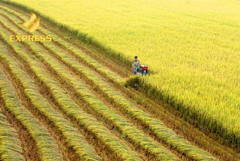 Tiềm năng phát triển và lợi thế của tỉnh Kiên Giang