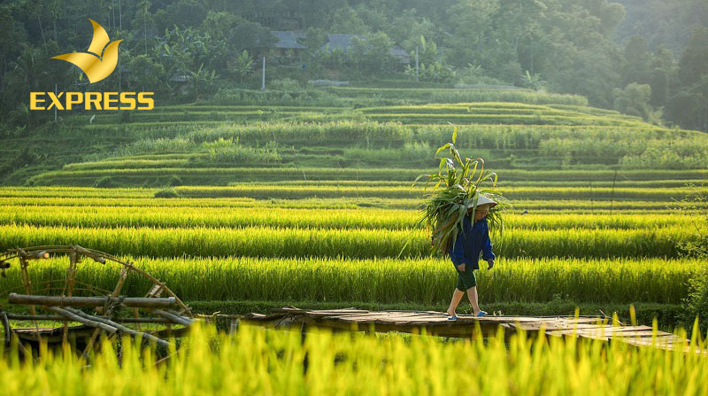 Tìm hiểu cơ hội đầu tư đất nông nghiệp