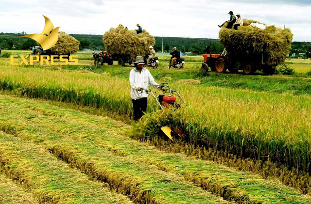 Trường hợp trích đất trước năm 1993