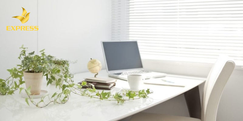 Bạn nên lựa chọn vị trí yên tĩnh trong nhà để làm việc.