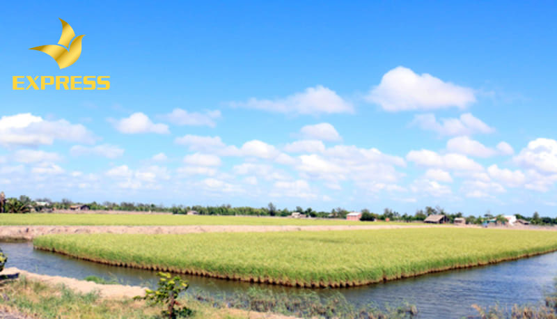 Bến tre có nhiều tiềm năng phát triển kinh tế xã hội và thu hút nhiều đầu tư bất động sản