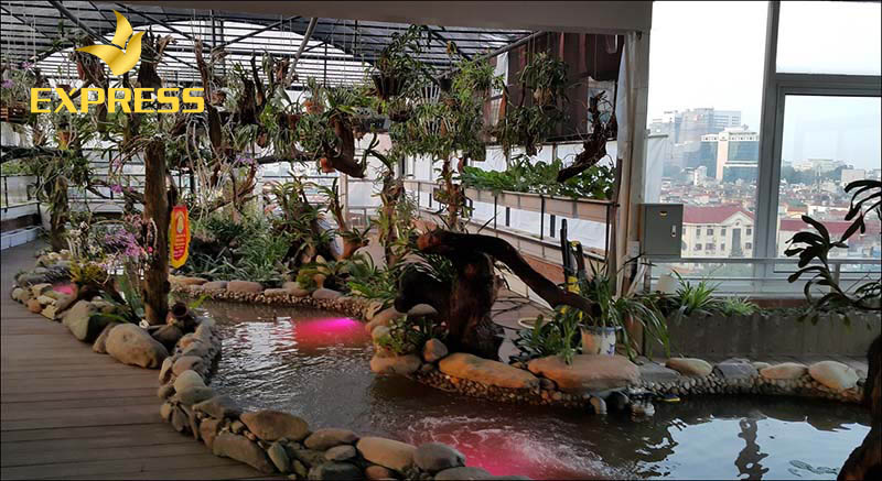 Nguyên tắc xây bể cá ngoài tròi