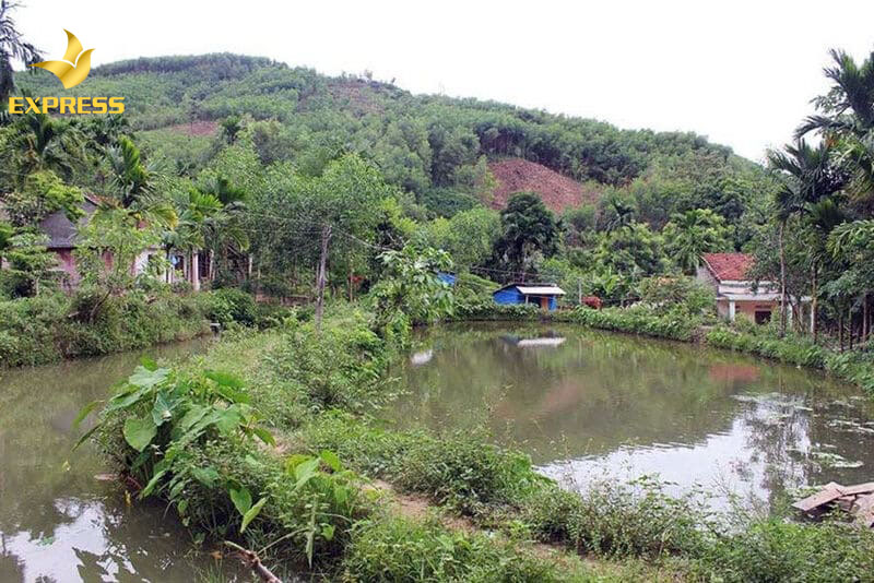 Căn cứ để xác định hạn mức đất ở và đất vườn ao.