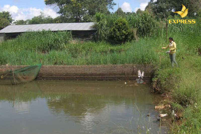 Cơ quan có thẩm quyền tính tiền sử dụng đất khi người dân muốn chuyển đổi mục đích sử dụng