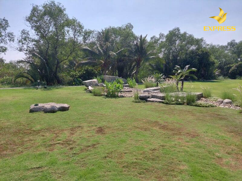 Đất được sử dụng vào mục đích trồng cây hàng năm, cây lâu năm hay cây hoa màu.