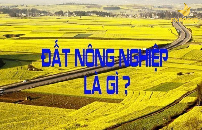 Đất nông nghiệp là gì?