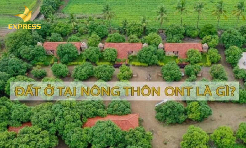 Đất ở nông thôn (ONT)