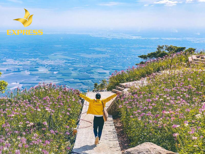 Đất Tây Ninh ngày càng tăng giá do nhu cầu sử dụng đất xây dựng, nhà ở tăng cao