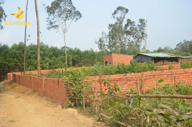 Đất vườn được quy định là đất có diện tích nằm trong cùng thửa đất của đất ở, nằm liền kề hay được tách thành lô đất riêng