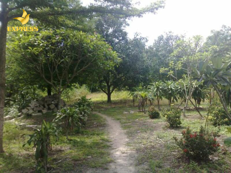 Đất vườn như đã nêu ở khái niệm đất vườn là gì thì đó là đất có thể được tách riêng thành lô đất khác hoặc nằm liền kề với lô đất ở